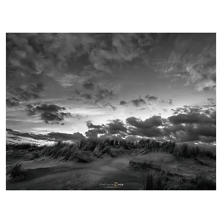 Ferienhaus Little Seagull Modern Retreat