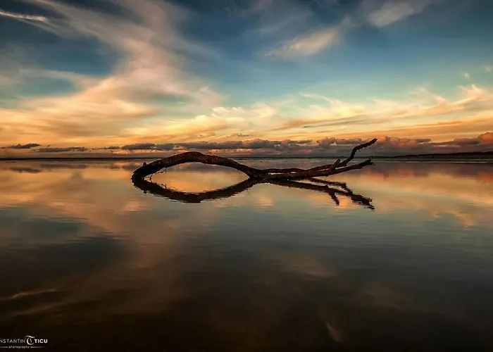 Little Seagull Modern Retreat