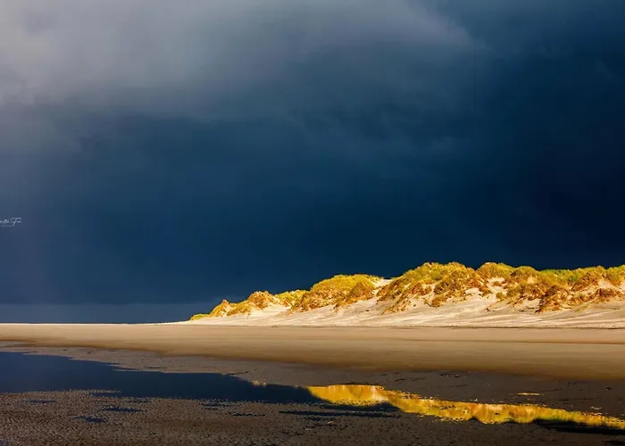 Little Seagull Modern Retreat *